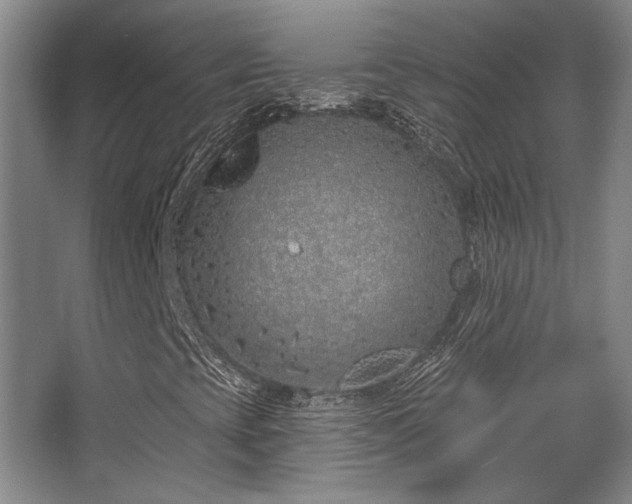 X0000068271393200604241245