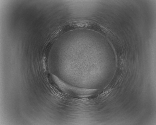 X0000068271394200604241245