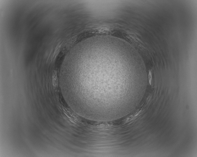 X0000068271395200604241245