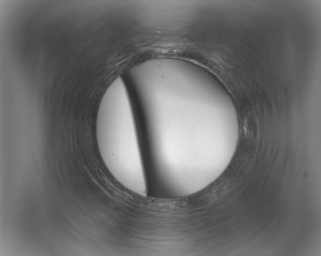 X0000068271396200604241245