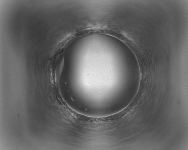 X0000068271398200604241245