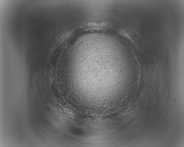 X0000068271399200604241245