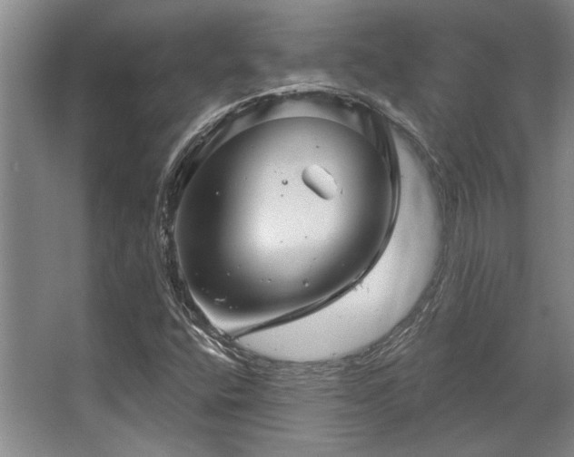 X0000068271400200604241245