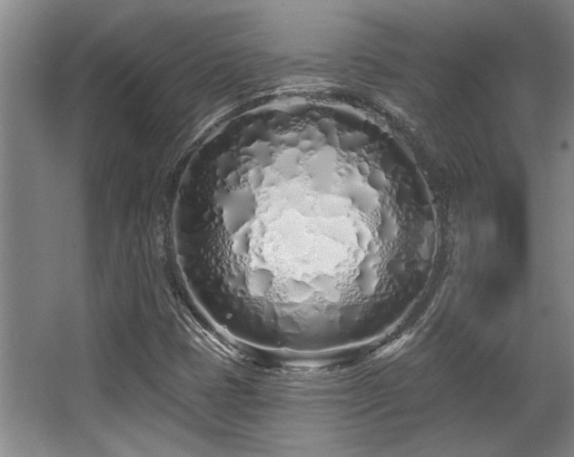 X0000068271401200604241246