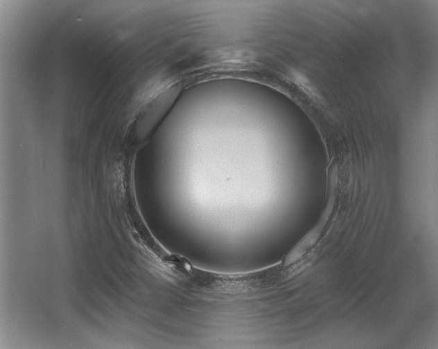 X0000068271402200604241246