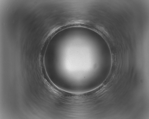 X0000068271404200604241246