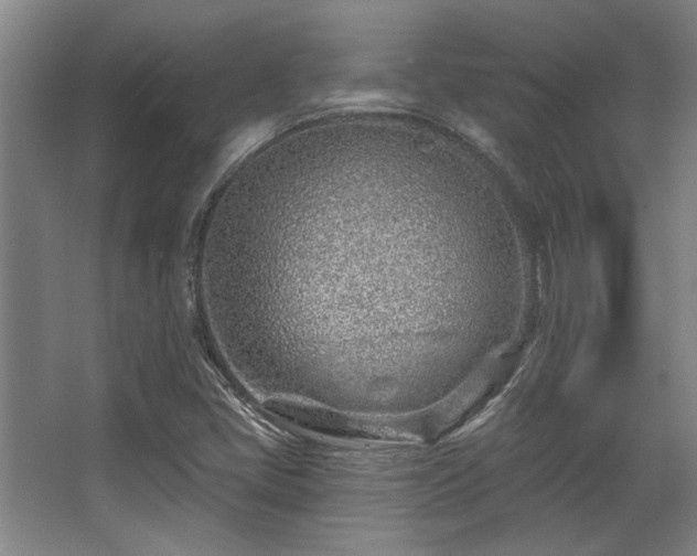 X0000068271405200604241246