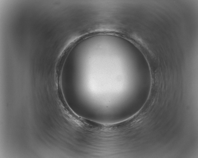 X0000068271408200604241246