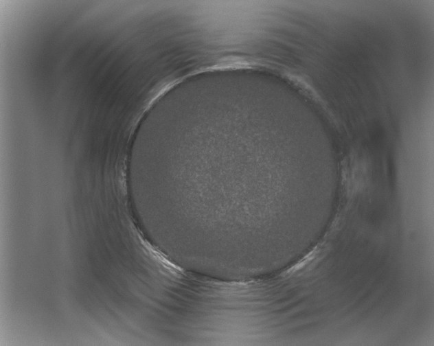 X0000068271409200604241246