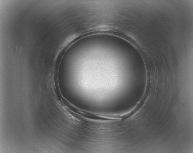 X0000068271410200604241246