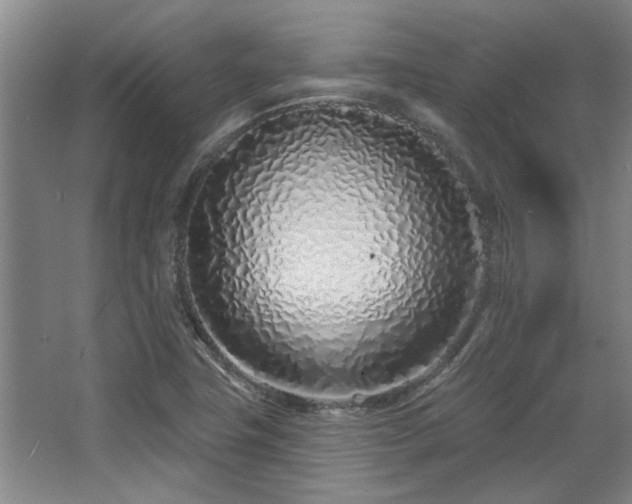 X0000068271411200604241246