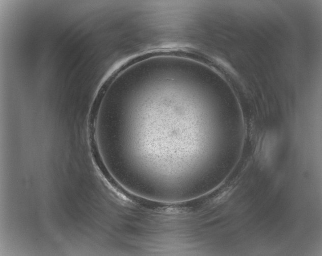 X0000068271412200604241246