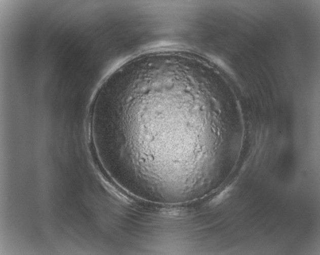 X0000068271413200604241246