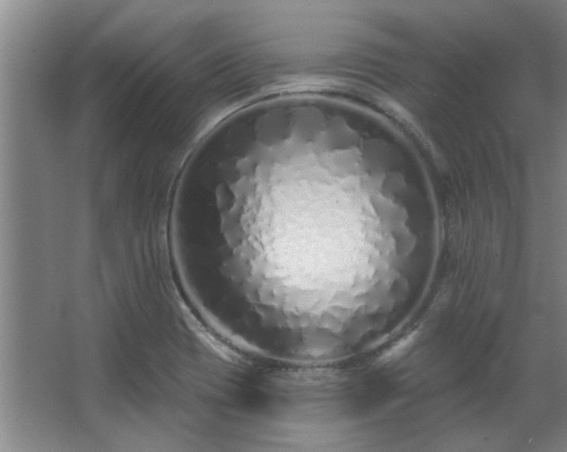 X0000068271417200604241246