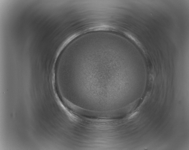 X0000068271418200604241246