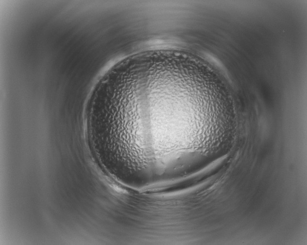 X0000068271419200604241246