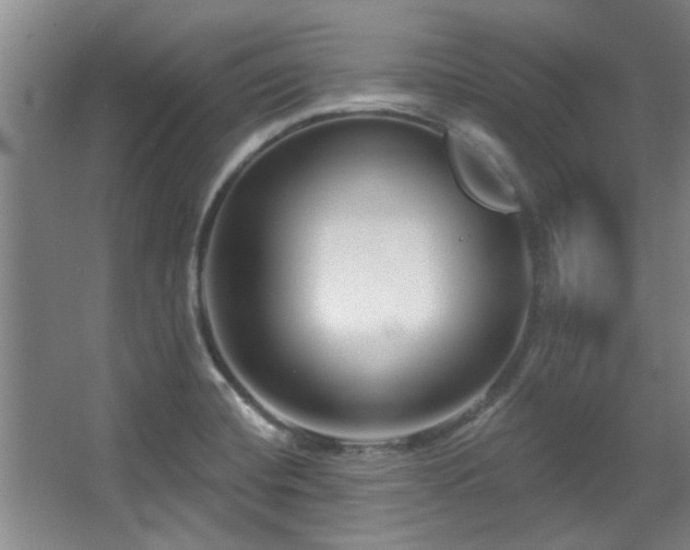 X0000068271420200604241246