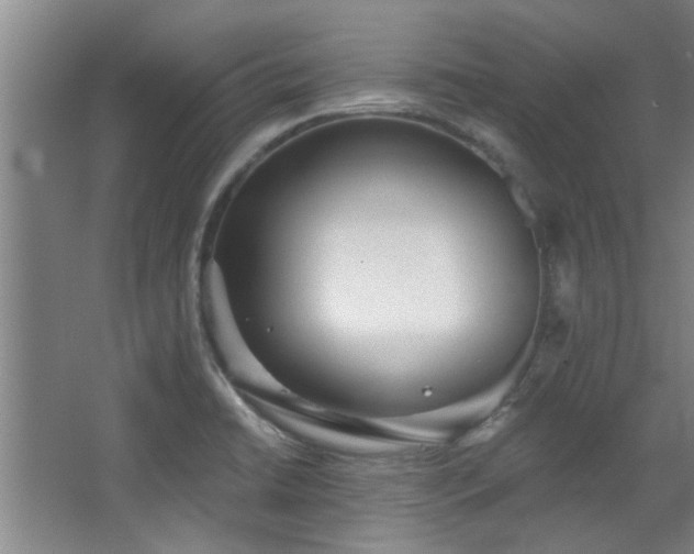 X0000068271422200604241246