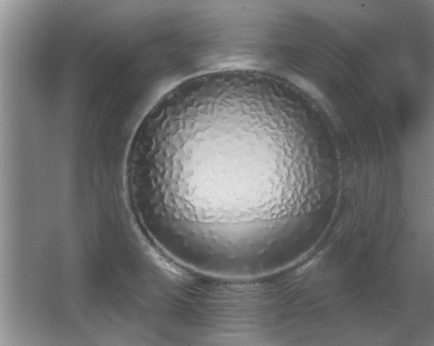 X0000068271423200604241246