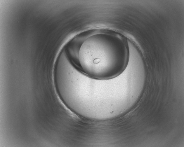 X0000068271424200604241246