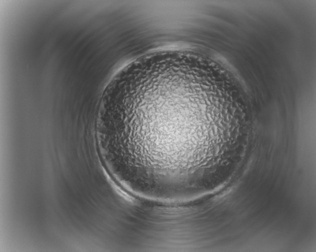 X0000068271425200604241246