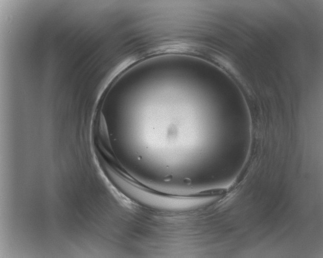 X0000068271426200604241246