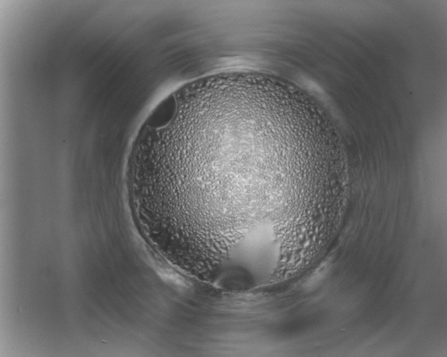 X0000068271427200604241246