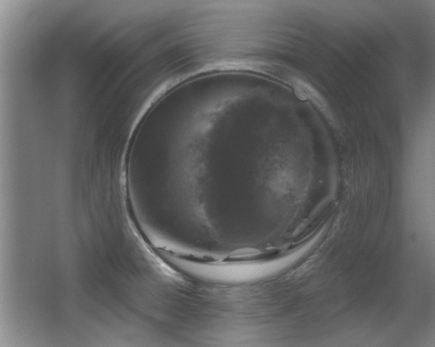 X0000068271428200604241246