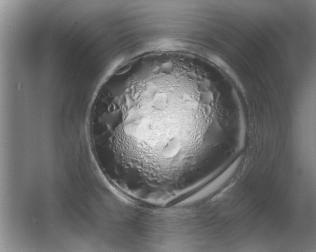 X0000068271429200604241246