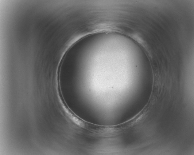 X0000068271431200604241246