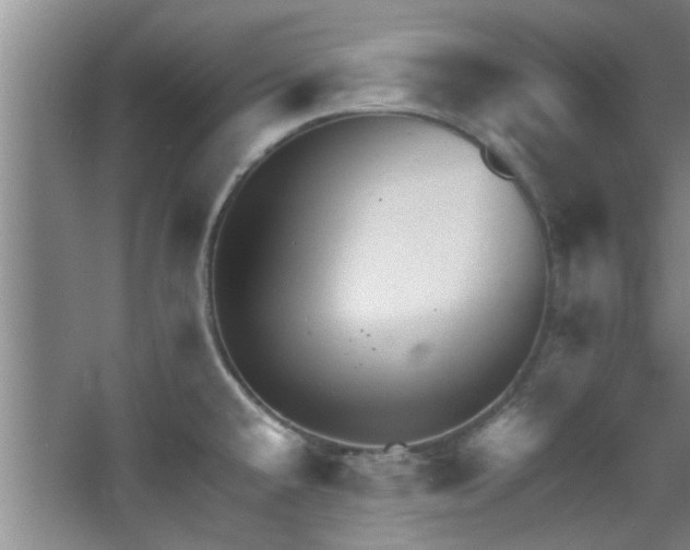 X0000068271432200604241246