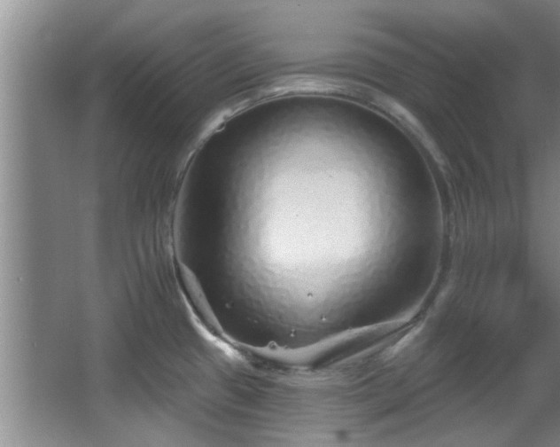 X0000068271433200604241246