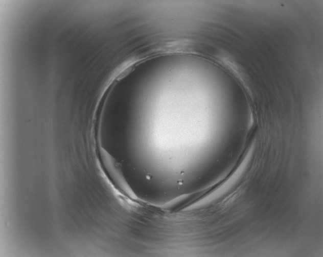 X0000068271434200604241246