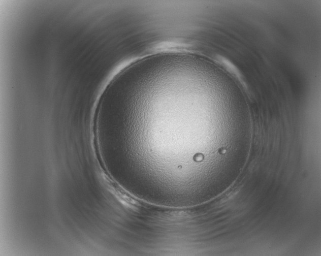 X0000068271435200604241246