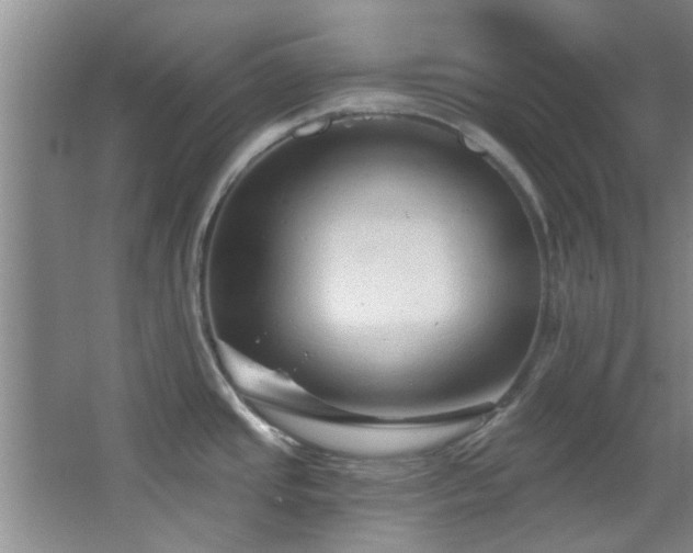 X0000068271437200604241246