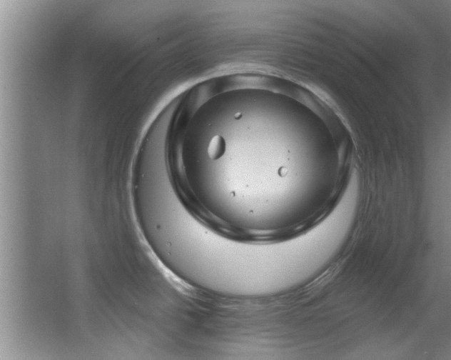 X0000068271438200604241246