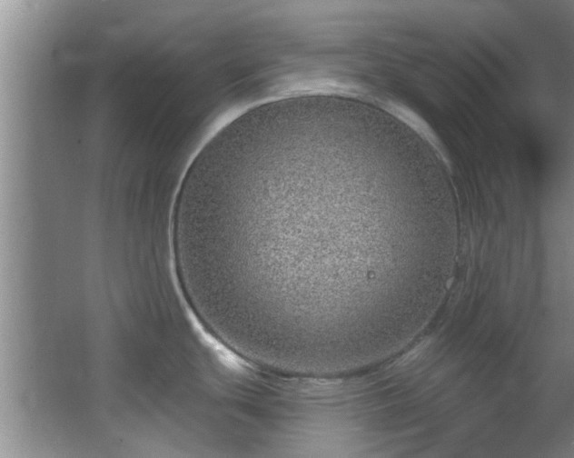 X0000068271439200604241246