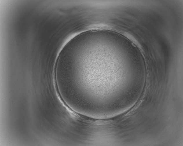 X0000068271440200604241246