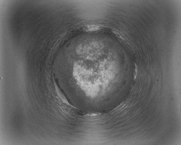 X0000068271441200604241245