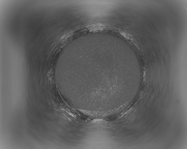 X0000068271445200604241245