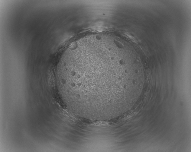 X0000068271446200604241245