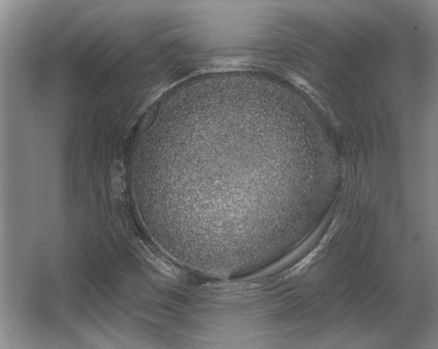 X0000068271449200604241245