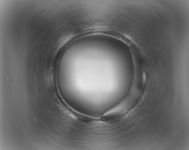 X0000068271450200604241245