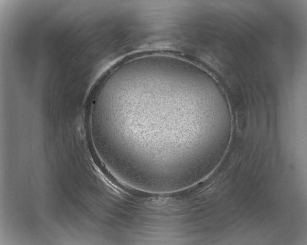 X0000068271452200604241245