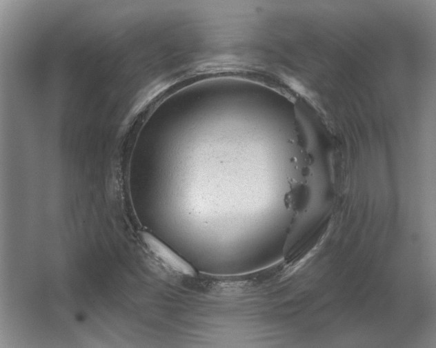 X0000068271453200604241245