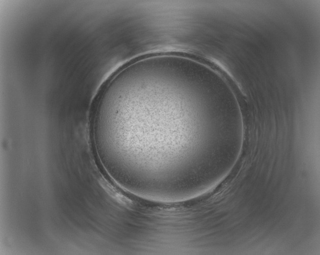 X0000068271460200604241245