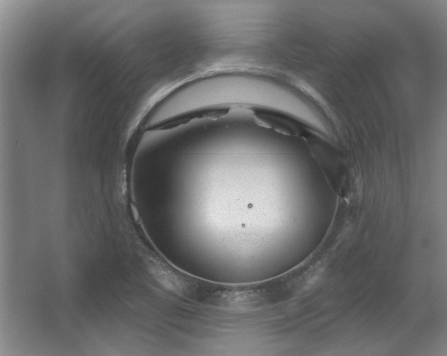 X0000068271461200604241245