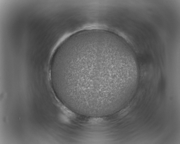 X0000068271462200604241245