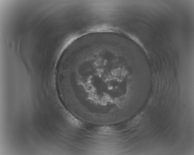 X0000068271463200604241245