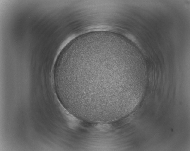 X0000068271466200604241245